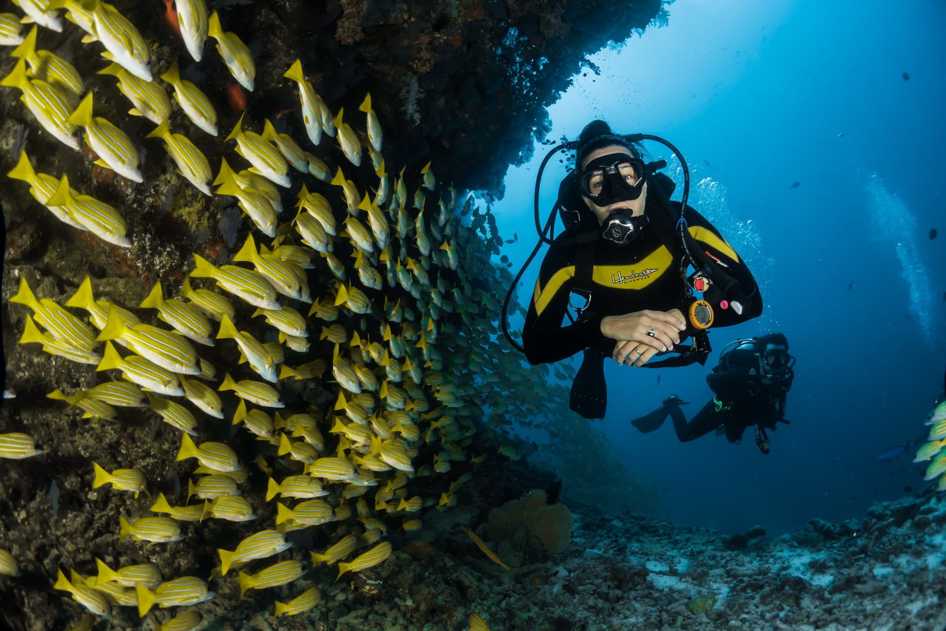 A scuba diver with a school of fish. Let's check this Scuba Acronym Guide.