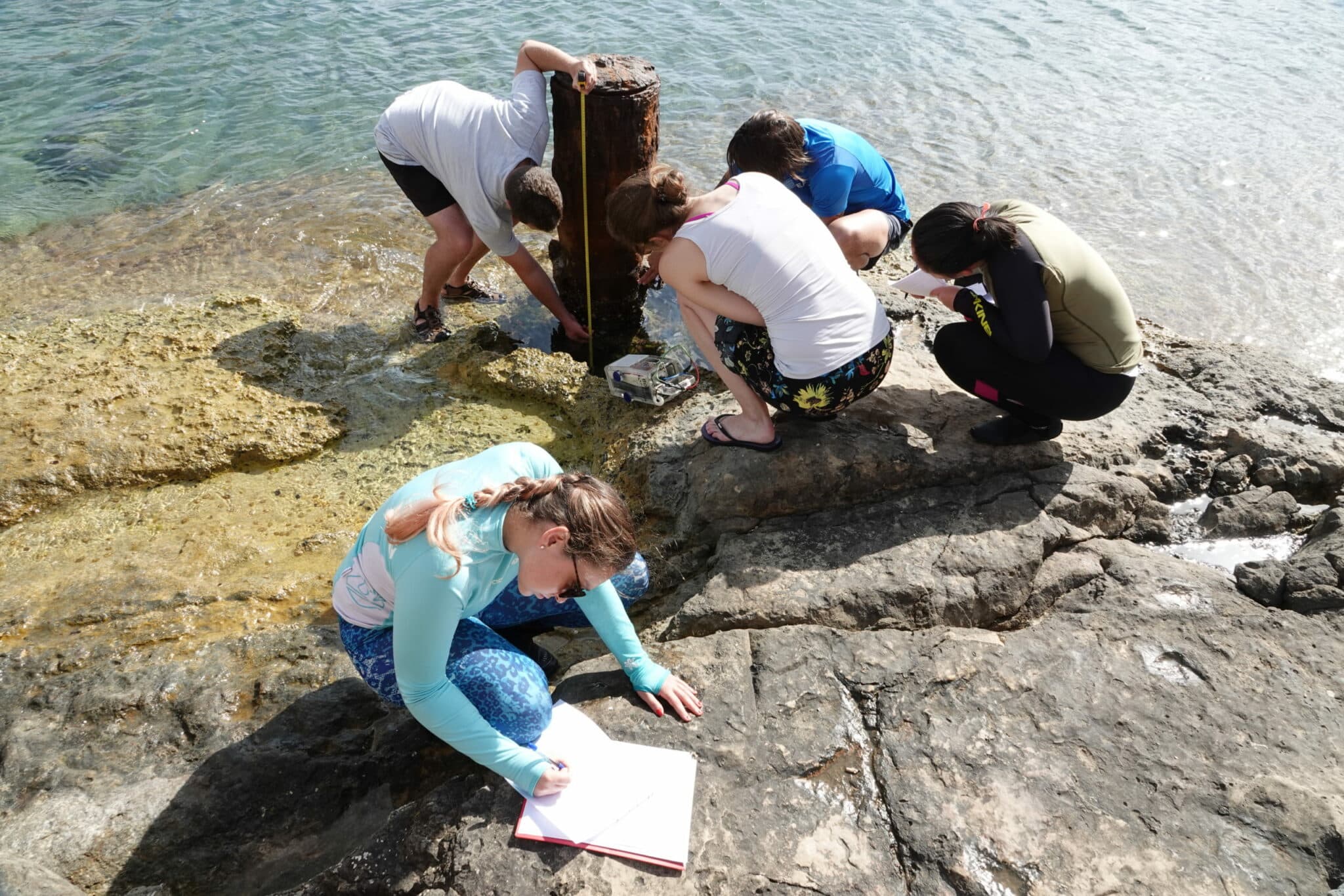 Maritime archaeologists hard at work by the shore