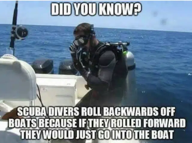Why Do Scuba Divers Dive Backwards
