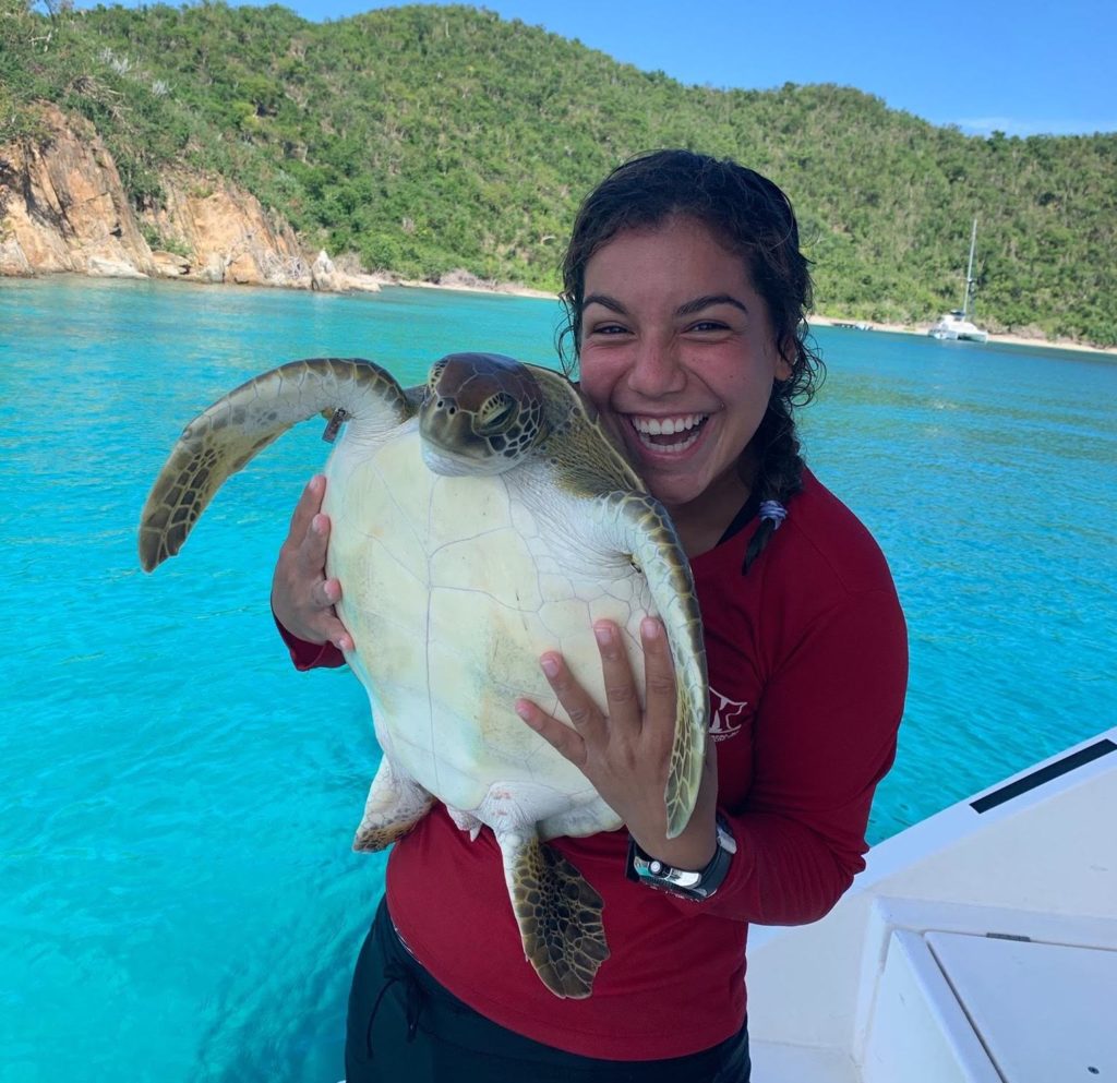 Anna is a marine science teacher volunteering with turtles
